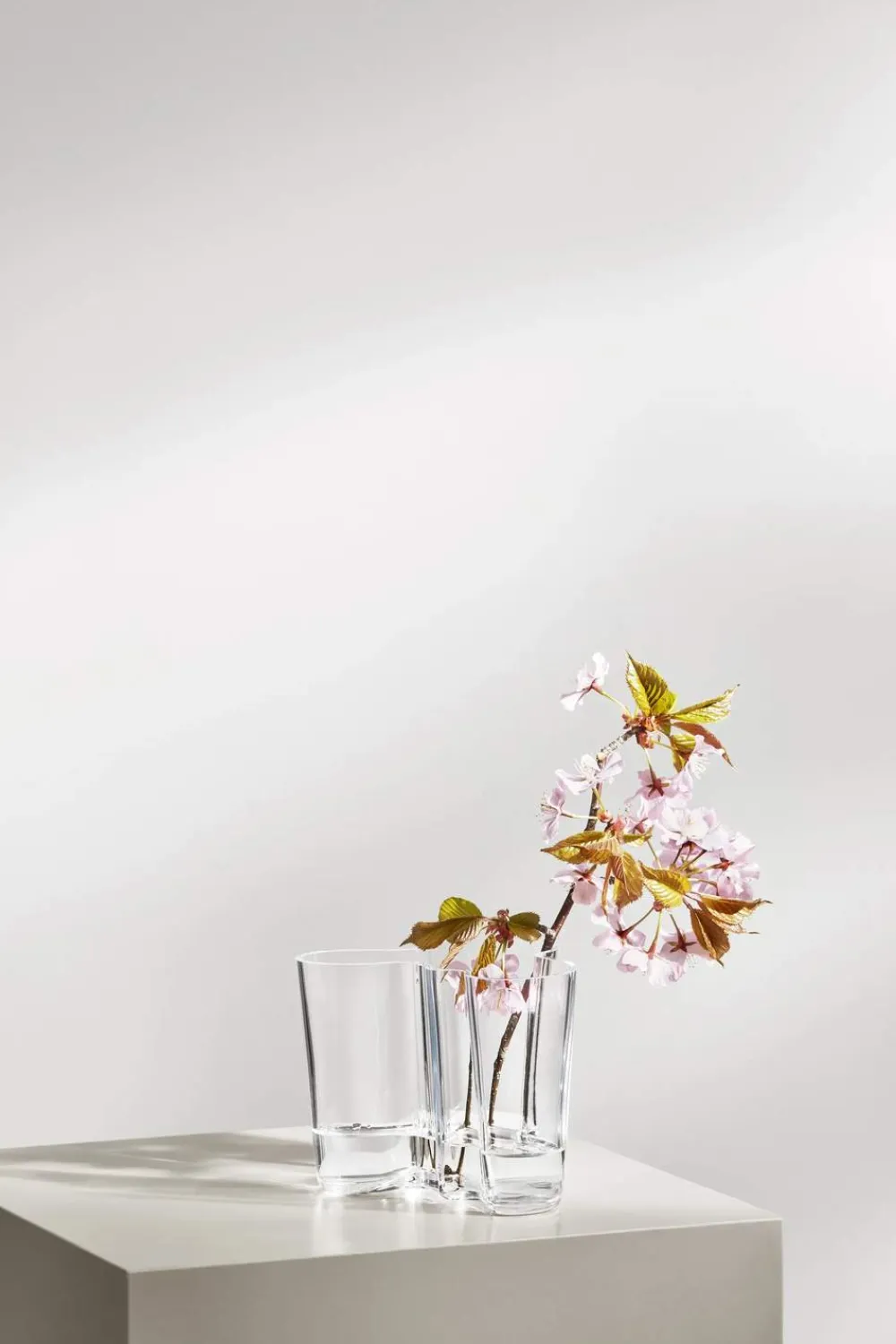 Clearance Alvar Aalto Vase Vaser