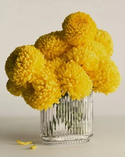 New Bernadotte Vase Vaser