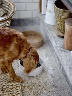 Online Buddy Pet Skål Tilbehør Til Kæledyr