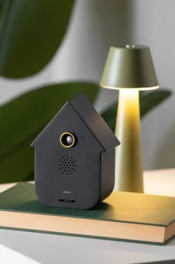 Outlet Cuckoo Lydboks Højtalere Og Hovedtelefoner