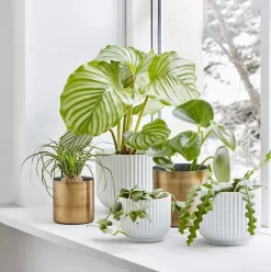 Sale Flowerpot Urtepotteskjuler Urtepotteskjulere