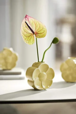 Hot Flower Vase -Smørblomst Vaser