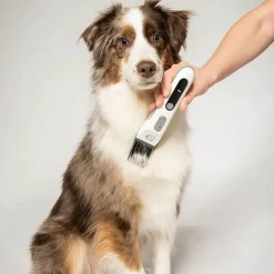 Clearance Kæledyrs Trimmer PP110 Tilbehør Til Kæledyr|Barbermaskiner Og Trimmere