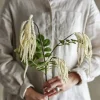 Online Kunstig blomst - Reed stilk Kunstige Blomster