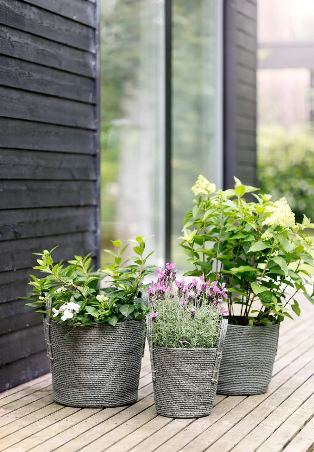 Kurv Kurve Og Kasser