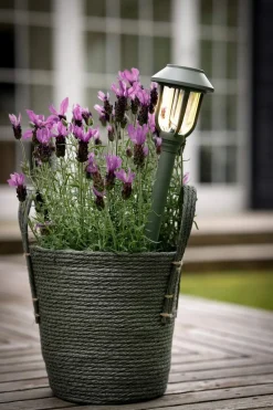 Best LED Solar Fakkel Bedlamper
