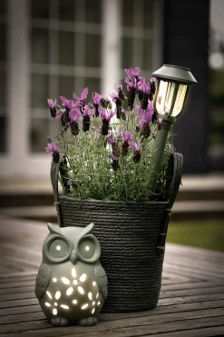 Clearance LED Solcellelampe - Ugle Hurricanes Og Lanterner