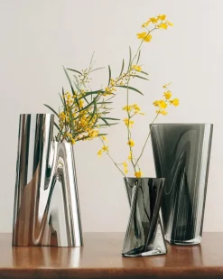 Lituus Vase Vaser