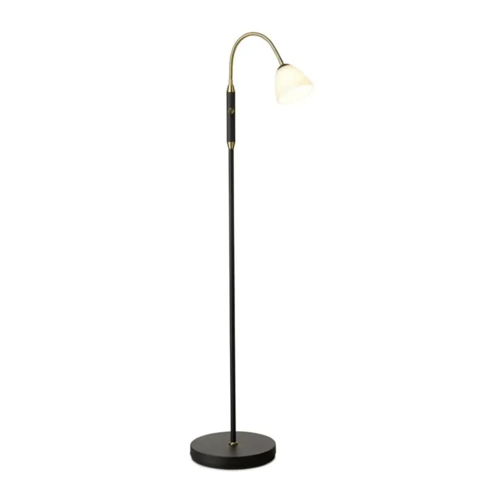 Best Lucid LED Gulvlampe Gulvlamper