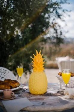 Best Piñacolada Lampe - Ananas Led-Lamper