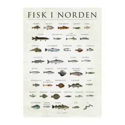 Clearance plakat - Fisk i Norden Plakater Og Vægdekoration