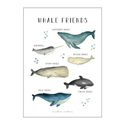 Hot Plakat - Whale Friends Plakater Og Vægdekoration