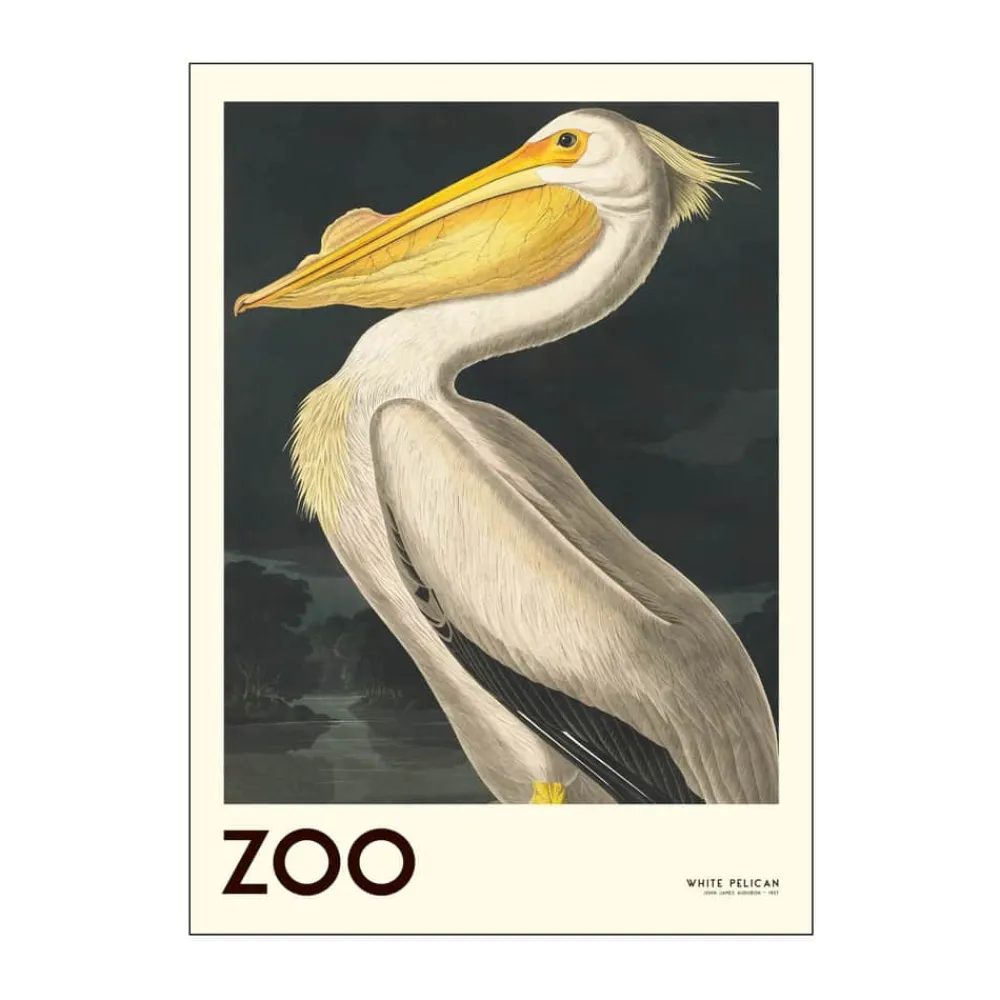 Discount Plakat - White pelican Plakater Og Vægdekoration