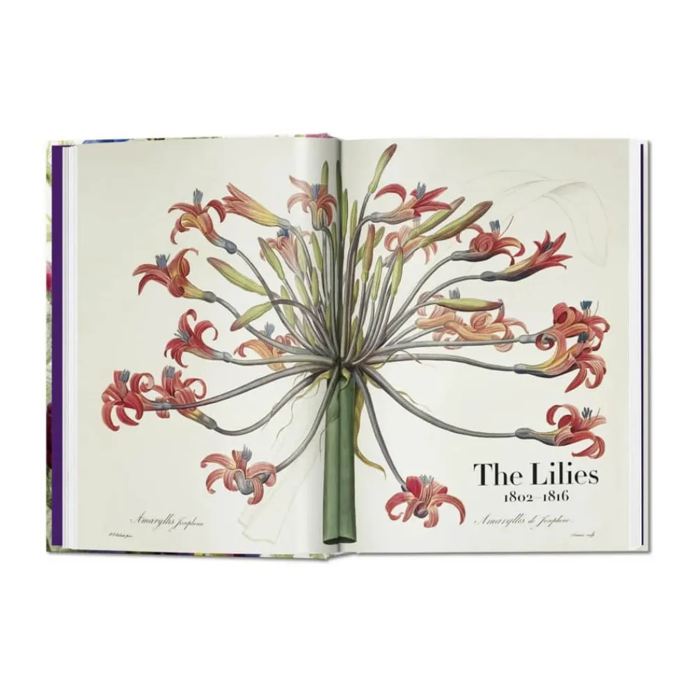 Outlet Redouté. Book of Flowers – 40th Anniversary Edition - Af H. Walter Lack Bøger Og Spil