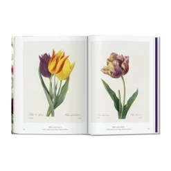 Outlet Redouté. Book of Flowers – 40th Anniversary Edition - Af H. Walter Lack Bøger Og Spil
