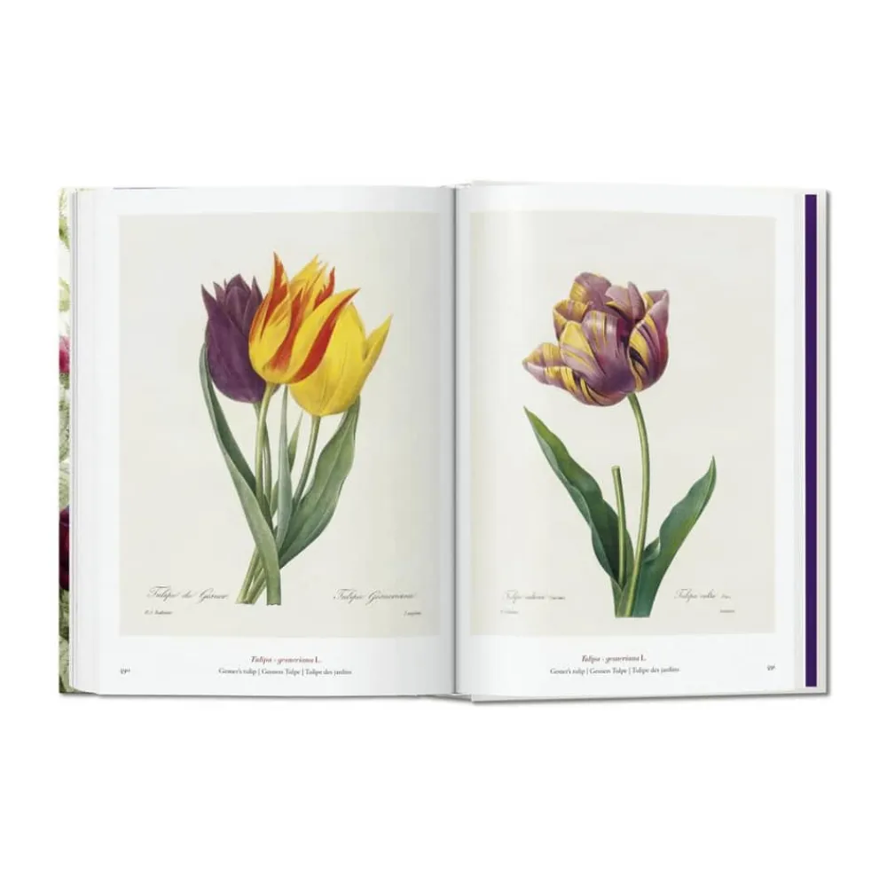 Outlet Redouté. Book of Flowers – 40th Anniversary Edition - Af H. Walter Lack Bøger Og Spil