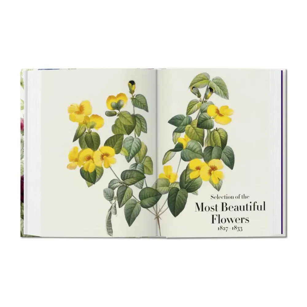 Outlet Redouté. Book of Flowers – 40th Anniversary Edition - Af H. Walter Lack Bøger Og Spil