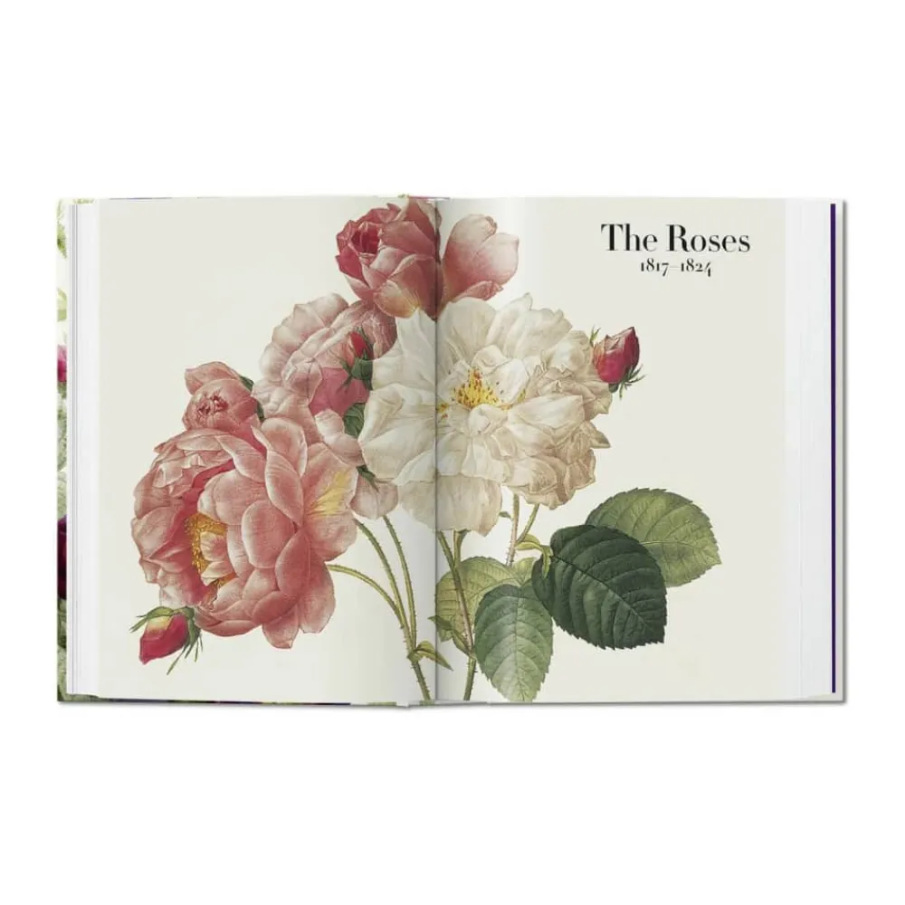 Outlet Redouté. Book of Flowers – 40th Anniversary Edition - Af H. Walter Lack Bøger Og Spil