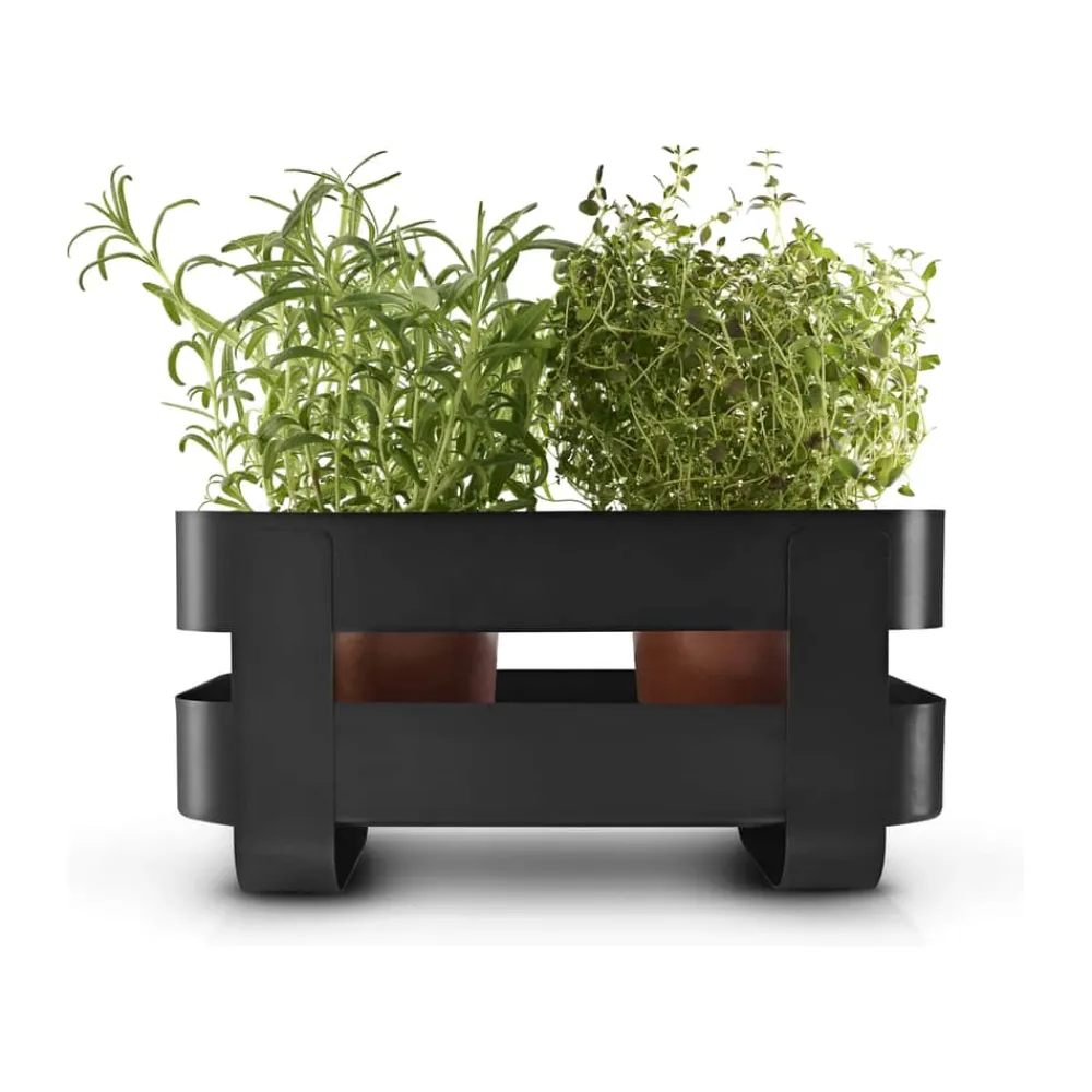 Selvvandende Herb Organiser Urtepotteskjulere