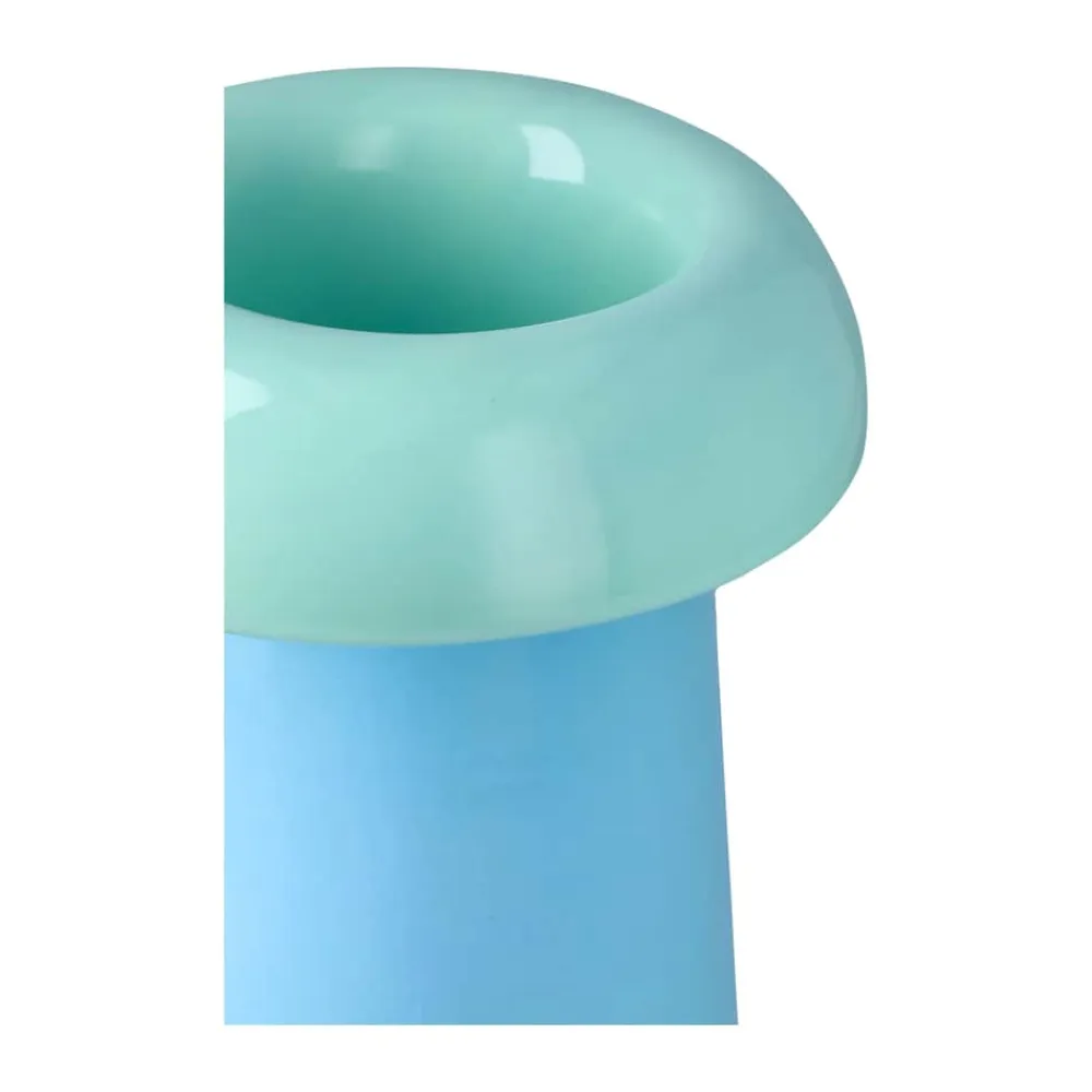 Hot Soma Vase Vaser