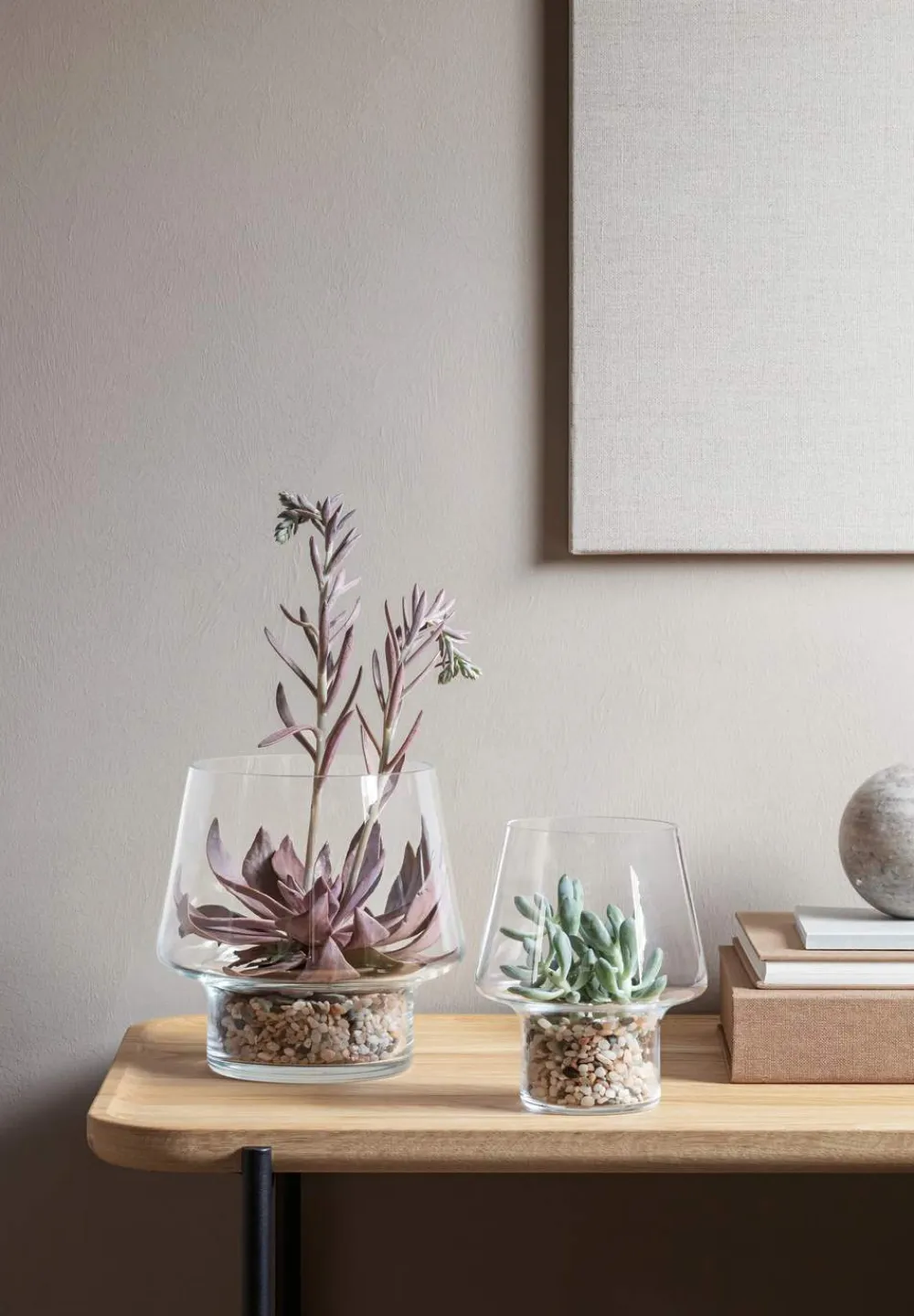Sale Sukkulent Vase Vaser