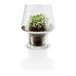 Sale Sukkulent Vase Vaser