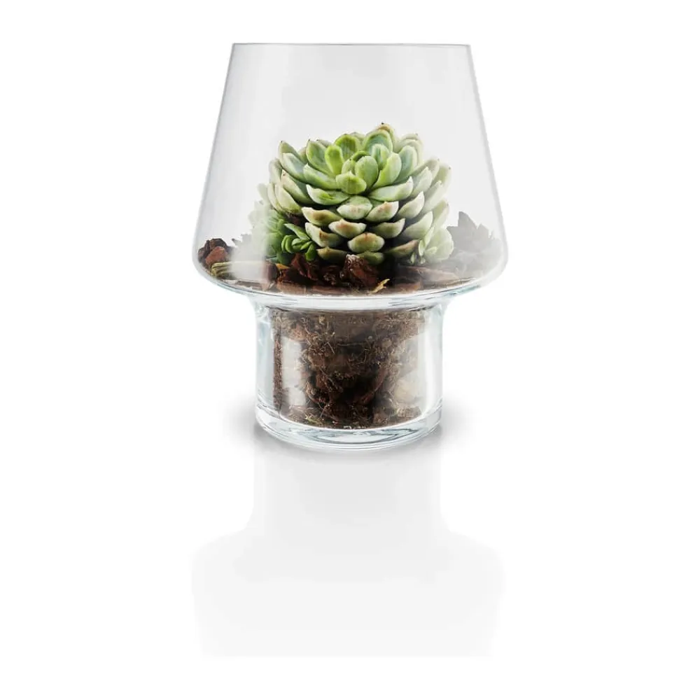 Sale Sukkulent Vase Vaser