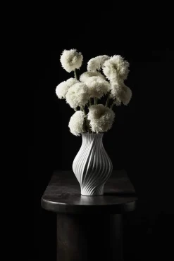 Best Twist Vase Vaser